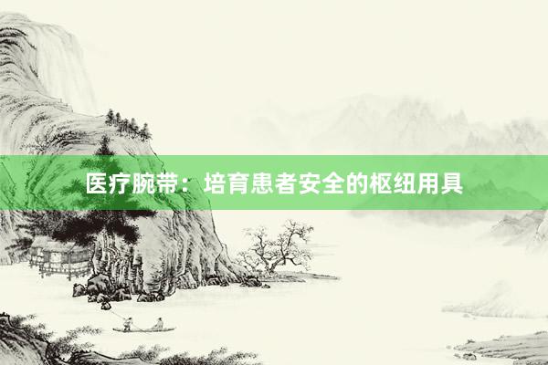 医疗腕带：培育患者安全的枢纽用具