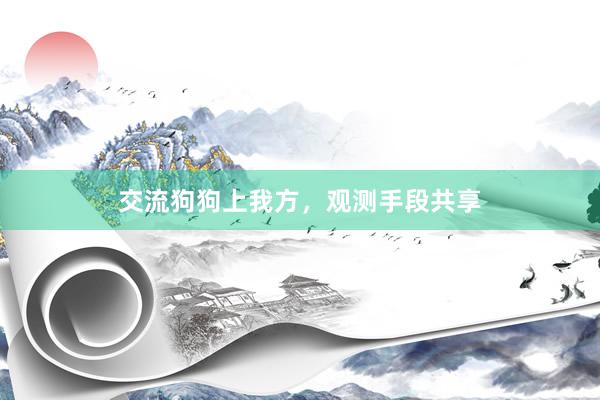 交流狗狗上我方，观测手段共享